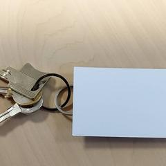 Llaves, ha sido reportado por Regio Oost-Vlaanderen con iLost