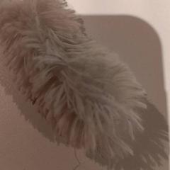 كنوفل، كما تم الإبلاغ عنه بواسطة De Efteling عبر iLost