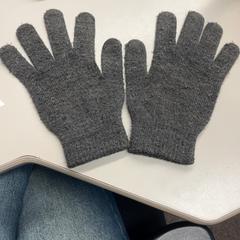 Luvas Grijs, como reportado por Burgers' Zoo utilizando o iLost