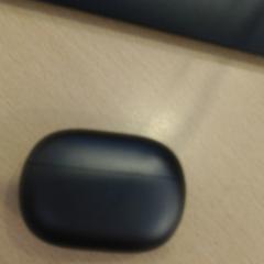 Wireless earphones, as reported by Walibi Holland using iLost