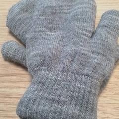 Luvas Grijs, kind, como reportado por Qbuzz Fryslân utilizando o iLost