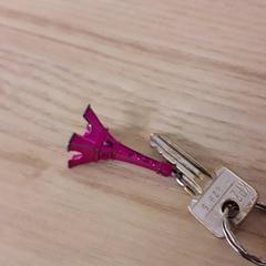 Schlüssel, gemeldet von IKEA Breda über iLost