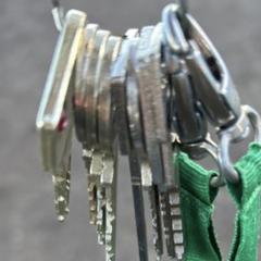 Sleutelbos, segundo informou a iLost