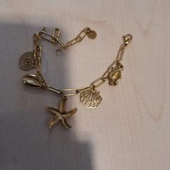 Braccialetto Goudkleurig, come riportato da Alrijne Leiderdorp utilizzando iLost