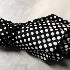 Ombrello, come riportato da Arriva Friesland / Groningen utilizzando iLost