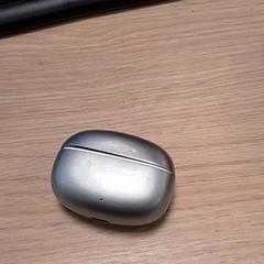 Rato Zilverkleurig, como reportado por Qbuzz Fryslân utilizando o iLost