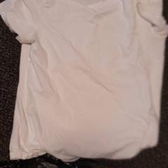 Camisa Wit, segons ha informat Van der Valk Hotel Tiel mitjançant iLost