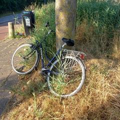 Damesfiets, jak bylo nahlášeno na iLost