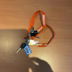 İLost kullanarak Gemeente Amsterdam - Bureau Gevonden Voorwerpen tarafından bildirildiği gibi Anahtarlar