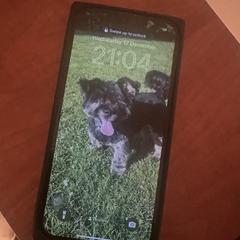 Mobiele telefoon, segons s'ha informat a iLost