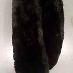 Bontmuts, rapporterat av Qbuzz GD Groningen HS med iLost