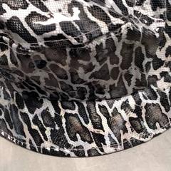 Hatt Grijs, rapporterat av Arriva Friesland / Groningen med iLost