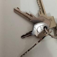 Sleutelbos, zoals gemeld door allGo Almere met iLost