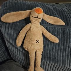 pluche speelgoedkonijn, ha sido reportado a iLost