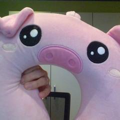 Coixí, segons ha informat MEININGER Hotel Lyon Centre Berthelot mitjançant iLost