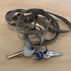 sleutels met veters, ha sido reportado por Gemeente Zwartewaterland con iLost