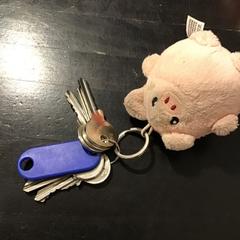 鍵 がiLostで U-OV Utrecht によって報告されました