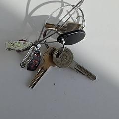 Clauer, segons ha informat RRReis Veluwe Zuid - Ede mitjançant iLost