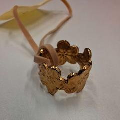 Prsteň Goudkleurig, ako bolo nahlásené Universiteitsbibliotheek Universiteitskwartier pomocou iLost