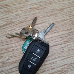 Klucz peugeot, zgłoszono przez Gemeente Zeist przy użyciu iLost