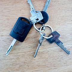 Sleutelbos, som rapporterats till iLost