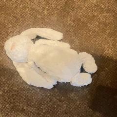 Teddy bear, as reported by Van der Valk Hotel Apeldoorn - De Cantharel using iLost