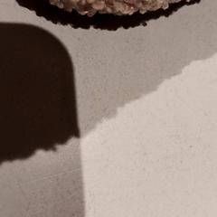 Bačkory, jak nahlášeno De Efteling pomocí iLost