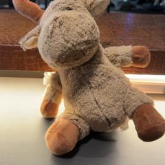 Przytulanka, zgłoszono przez Van der Valk Hotel Houten przy użyciu iLost