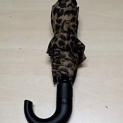 Parapluie, a été signalé par Arriva Oost-Brabant utilisant iLost