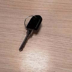 Chiave, come riportato da Qbuzz Fryslân utilizzando iLost