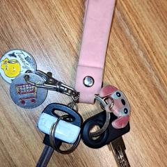 Klucze, zgłoszono przez Qbuzz DMG przy użyciu iLost