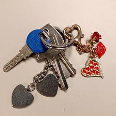 キーホルダー がiLostで IKEA Groningen によって報告されました