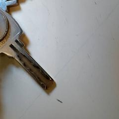 Nycklar, rapporterat av Regio Antwerpen - Brussel med iLost