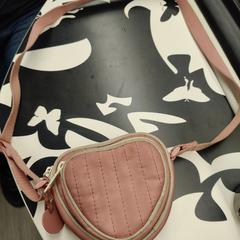 Roze handtasje in de vorm van een hart, ha sido reportado a iLost