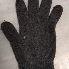 Guanto Grijs, come riportato da Arriva Friesland / Groningen utilizzando iLost