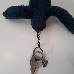 Clau, segons ha informat Centraal magazijn mitjançant iLost