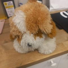 Peluche cão がiLostで IKEA Braga によって報告されました