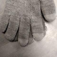 Hansker Grijs, som rapportert av Arriva Friesland / Groningen ved bruk av iLost