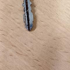 Kulcs, amint azt Qbuzz GD Groningen Peizerweg az iLost segítségével jelentette.