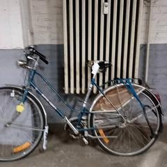 Emakumeen bizikleta paris sport Blauw, gisa salatu by Fietsdepot Hasselt iLost erabiliz