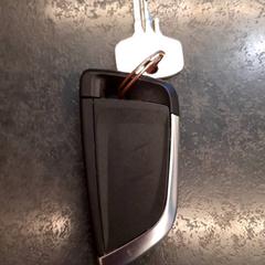 Car key, as reported by Rotterdam The Hague Airport using iLost