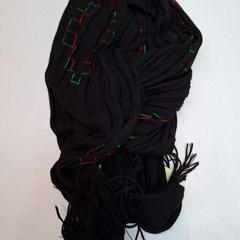 Shawl, as reported by Rijksmuseum van Oudheden using iLost