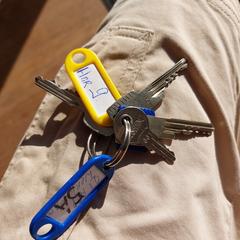 Sleutelbos, amint azt az iLostnak jelentették.