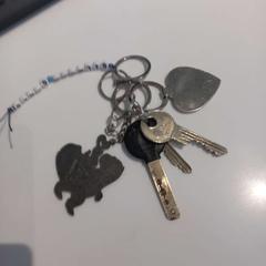 سلسلة المفاتيح، كما تم الإبلاغ عنه بواسطة Arriva Limburg Zuid عبر iLost