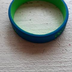 Bracelet Groen blauw, as reported by DierenPark Amersfoort using iLost