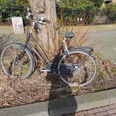 Fiets, merk Cumberland, ha sido reportado a iLost