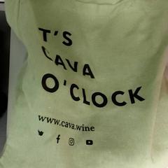 Väska Jutten draagtas, rapporterat av Centraal magazijn med iLost