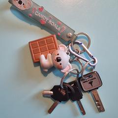 Sleutelbos met beertje, ako bolo nahlásené iLost