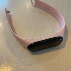 Montre, a été signalé par Madurodam utilisant iLost