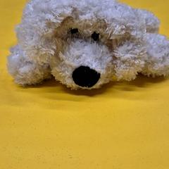 Joguina & Peluix, segons ha informat IKEA Delft mitjançant iLost